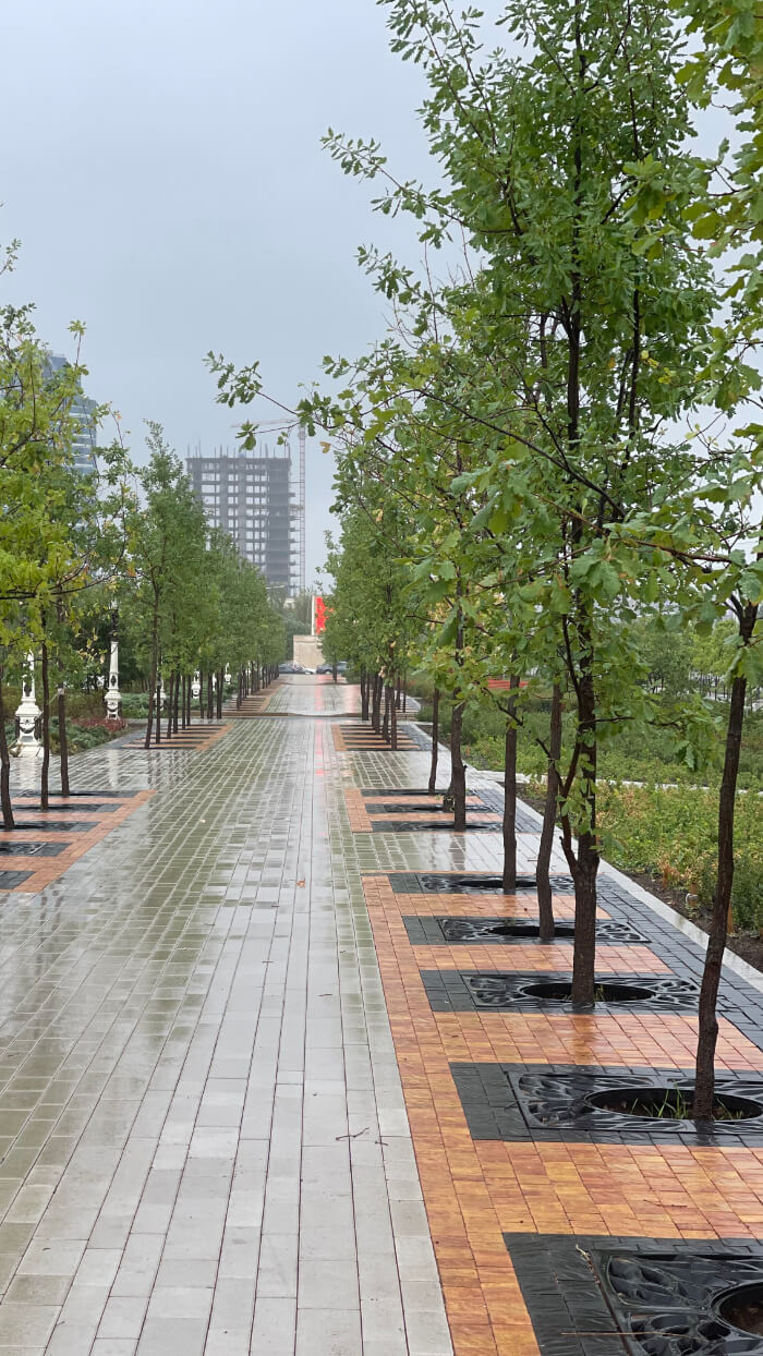 Приствольная решетка для дерева ZKING CRUST 1.2х1.2м Черная в Каменске-Уральском фото