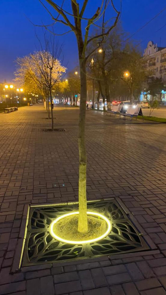 Приствольная решетка для дерева ZKING CRUST 1.2х1.2м Черная в Каменске-Уральском фото